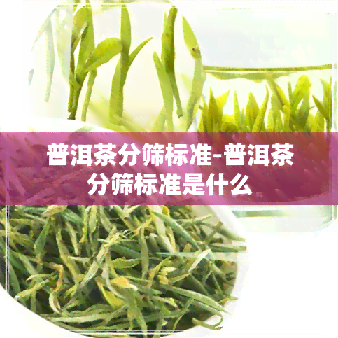 普洱茶分筛标准-普洱茶分筛标准是什么