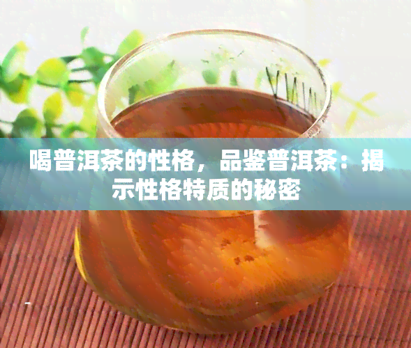 喝普洱茶的性格，品鉴普洱茶：揭示性格特质的秘密