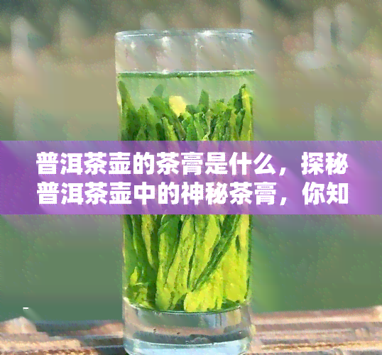 普洱茶壶的茶膏是什么，探秘普洱茶壶中的神秘茶膏，你知道它的来历和功效吗？