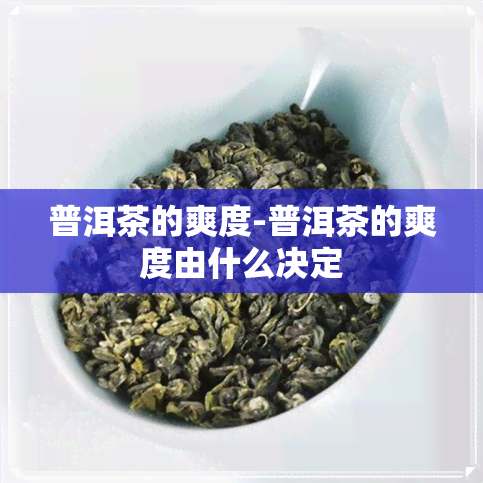 普洱茶的爽度-普洱茶的爽度由什么决定