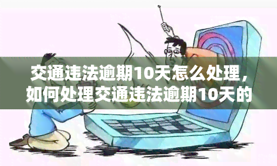 交通违法逾期10天怎么处理，如何处理交通违法逾期10天的问题？