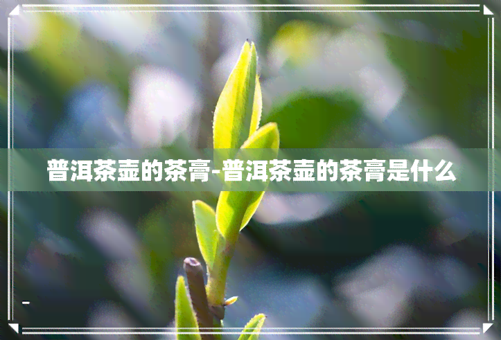 普洱茶壶的茶膏-普洱茶壶的茶膏是什么