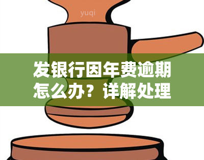 发银行因年费逾期怎么办？详解处理步骤与方法