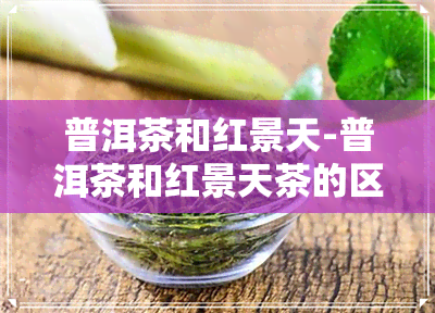 普洱茶和红景天-普洱茶和红景天茶的区别