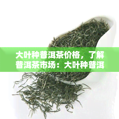 大叶种普洱茶价格，了解普洱茶市场：大叶种普洱茶的最新价格趋势