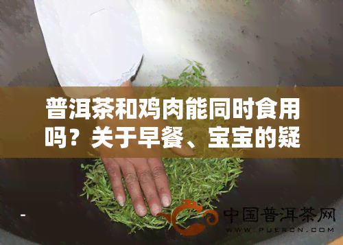 普洱茶和鸡肉能同时食用吗？关于早餐、宝宝的疑问解答