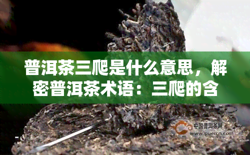 普洱茶三爬是什么意思，解密普洱茶术语：三爬的含义与作用