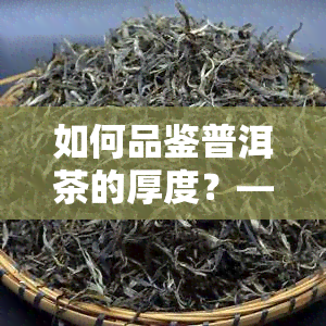 如何品鉴普洱茶的厚度？——从口感到体验全方位解析