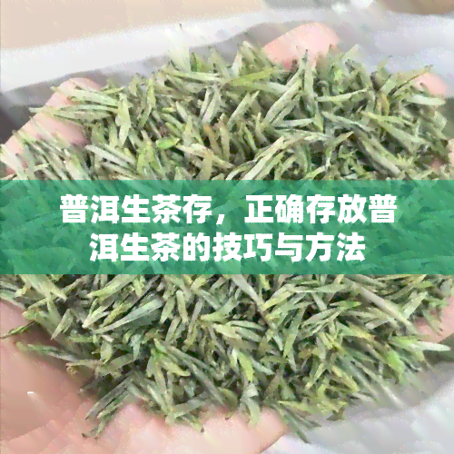 普洱生茶存，正确存放普洱生茶的技巧与方法