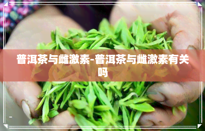 普洱茶与雌激素-普洱茶与雌激素有关吗