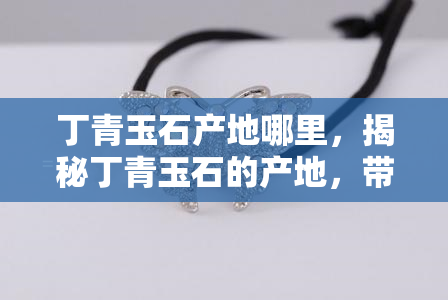 丁青玉石产地哪里，揭秘丁青玉石的产地，带你了解这种珍贵宝石的来源