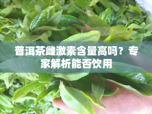 普洱茶雌激素含量高吗？专家解析能否饮用