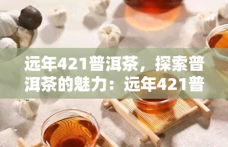 远年421普洱茶，探索普洱茶的魅力：远年421普洱茶的口感与历背景