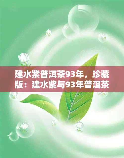 建水紫普洱茶93年，珍藏版：建水紫与93年普洱茶的完美结合