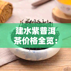 建水紫普洱茶价格全览：最新价格表与市场行情分析