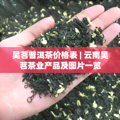 昊茗普洱茶价格表 | 云南昊茗茶业产品及图片一览