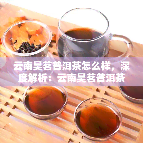 云南昊茗普洱茶怎么样，深度解析：云南昊茗普洱茶的品质与口感如何？