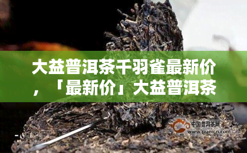 大益普洱茶千羽雀最新价，「最新价」大益普洱茶千羽雀值得收藏吗？这里有答案！