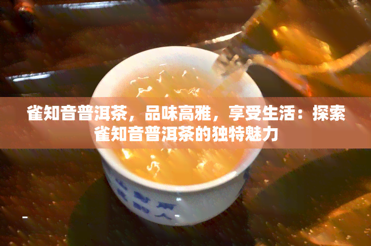 雀知音普洱茶，品味高雅，享受生活：探索雀知音普洱茶的独特魅力