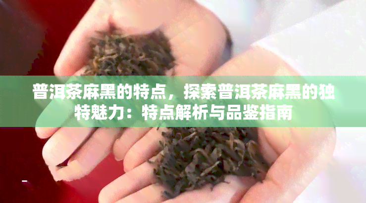 普洱茶麻黑的特点，探索普洱茶麻黑的独特魅力：特点解析与品鉴指南