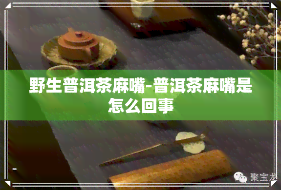 野生普洱茶麻嘴-普洱茶麻嘴是怎么回事