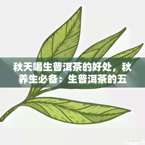 秋天喝生普洱茶的好处，秋养生必备：生普洱茶的五大好处解析