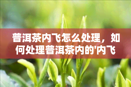 普洱茶内飞怎么处理，如何处理普洱茶内的'内飞'