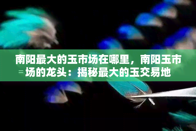 南阳更大的玉市场在哪里，南阳玉市场的龙头：揭秘更大的玉交易地