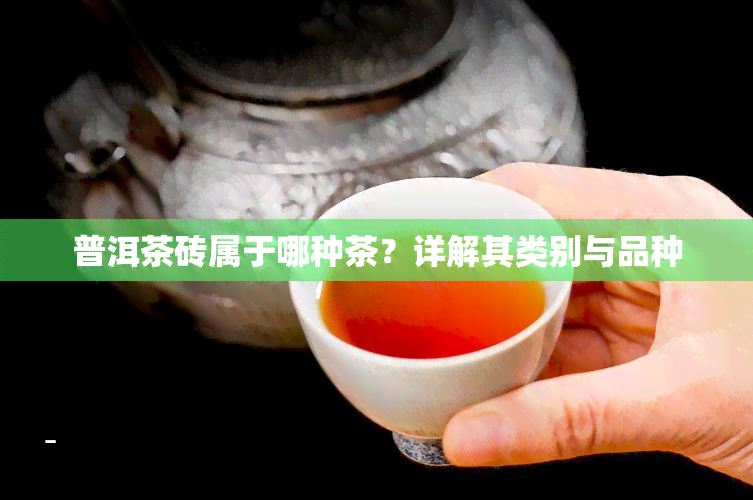 普洱茶砖属于哪种茶？详解其类别与品种