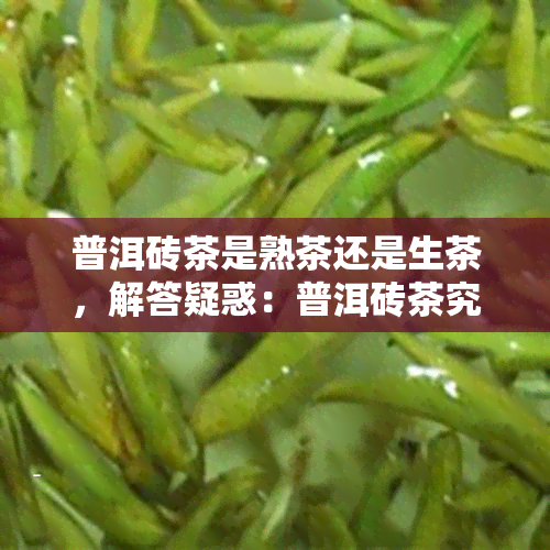 普洱砖茶是熟茶还是生茶，解答疑惑：普洱砖茶究竟是熟茶还是生茶？