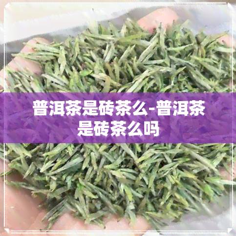 普洱茶是砖茶么-普洱茶是砖茶么吗