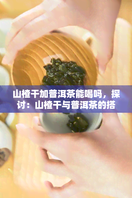 山楂干加普洱茶能喝吗，探讨：山楂干与普洱茶的搭配是否适宜饮用？