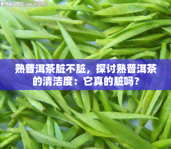 熟普洱茶脏不脏，探讨熟普洱茶的清洁度：它真的脏吗？