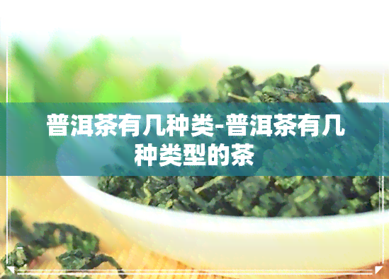 普洱茶有几种类-普洱茶有几种类型的茶