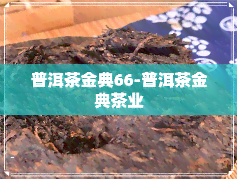 普洱茶金典66-普洱茶金典茶业