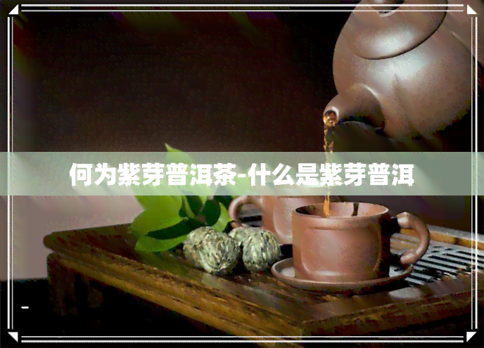 何为紫芽普洱茶-什么是紫芽普洱