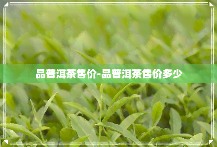 品普洱茶售价-品普洱茶售价多少