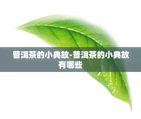 普洱茶的小典故-普洱茶的小典故有哪些