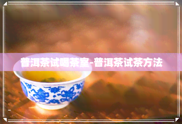 普洱茶试喝茶室-普洱茶试茶方法