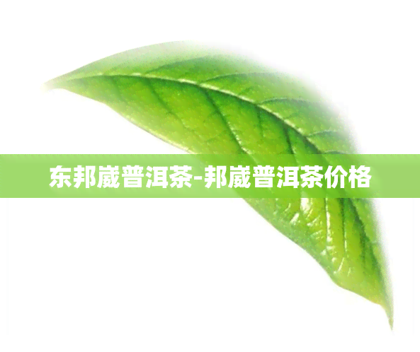 东邦崴普洱茶-邦崴普洱茶价格