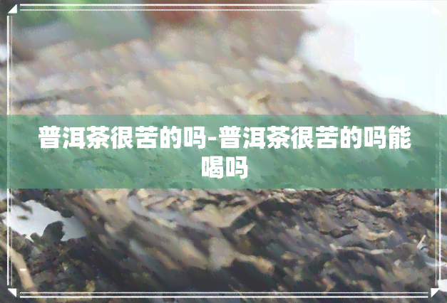 普洱茶很苦的吗-普洱茶很苦的吗能喝吗