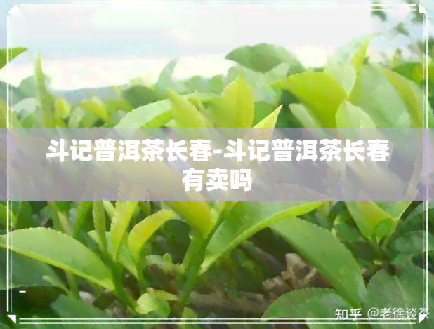 斗记普洱茶长春-斗记普洱茶长春有卖吗