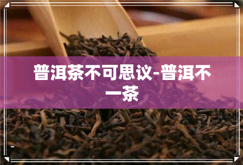 普洱茶不可思议-普洱不一茶