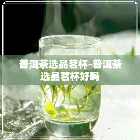 普洱茶选品茗杯-普洱茶选品茗杯好吗