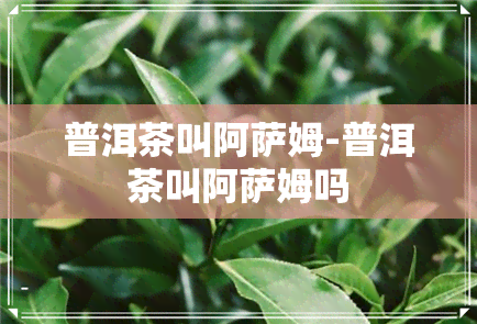 普洱茶叫阿萨姆-普洱茶叫阿萨姆吗