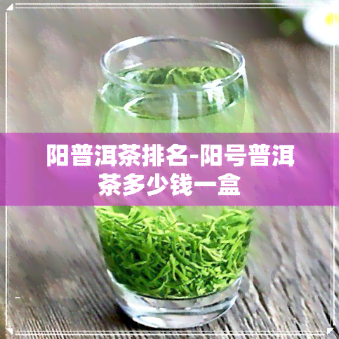 阳普洱茶排名-阳号普洱茶多少钱一盒