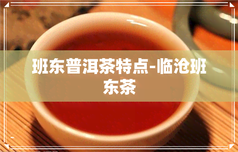 班东普洱茶特点-临沧班东茶