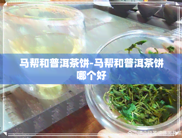 马帮和普洱茶饼-马帮和普洱茶饼哪个好