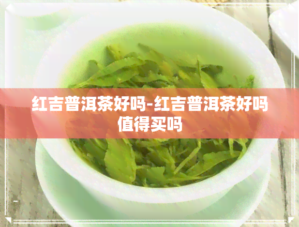 红吉普洱茶好吗-红吉普洱茶好吗值得买吗