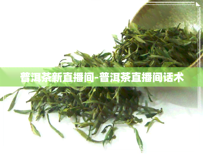 普洱茶新直播间-普洱茶直播间话术